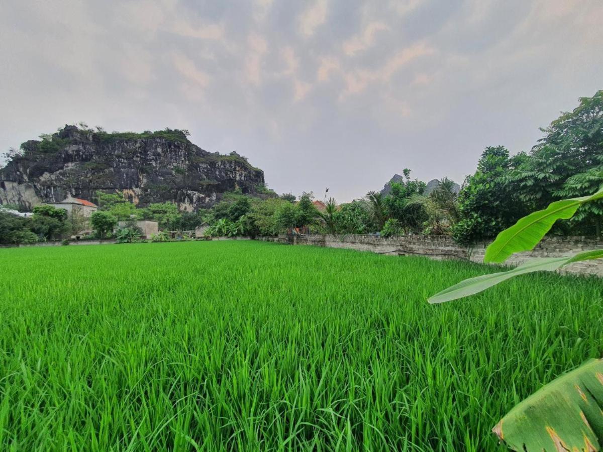 Tam Coc Lakeside Homestay Ниньбинь Экстерьер фото